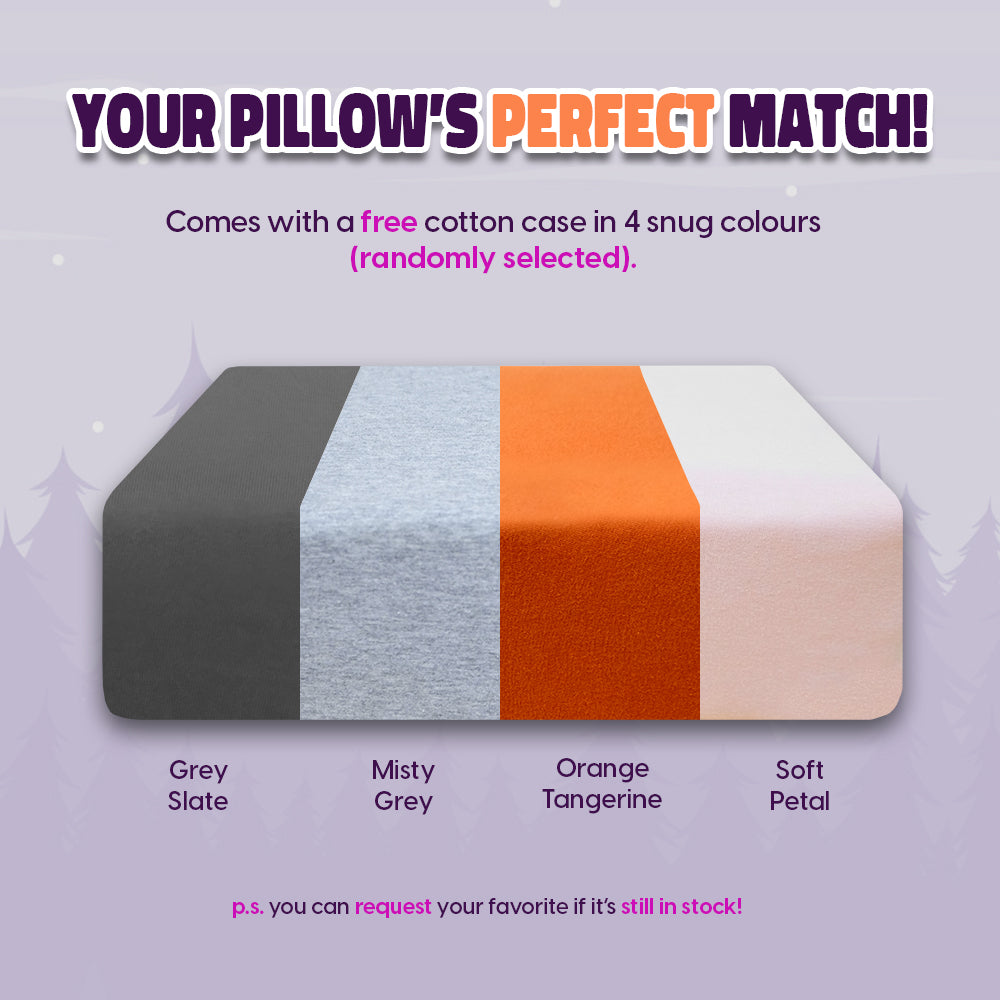 Travel Pillow