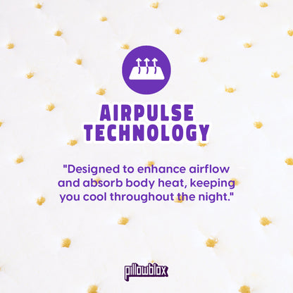 Pillowblox Natural Latex Bolster (Guling) with AirPulse Technology